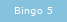 Bingo 5